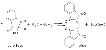ninhydrine stain chemistry